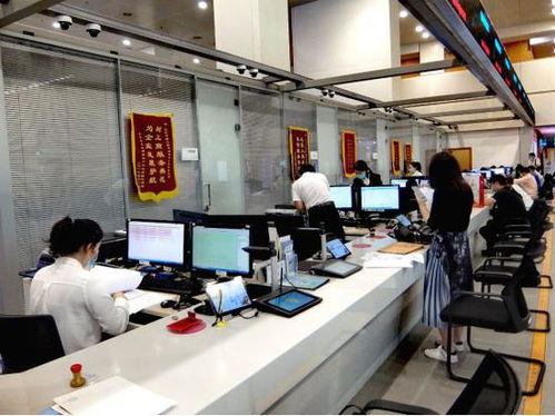 科技賦能，服務(wù)百姓——北京順義區(qū)創(chuàng)新技術(shù)服務(wù)模式探秘