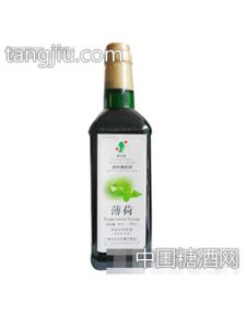 調(diào)味魔飲師薄荷味果味濃漿招商 廣州市白云區(qū)健宇食品廠 糖酒網(wǎng)tangjiu.com